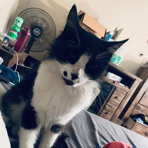 Meet your Posher, Hilary